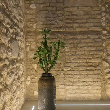 شقة Almatros Design Smeraldo In Palazzo Storico